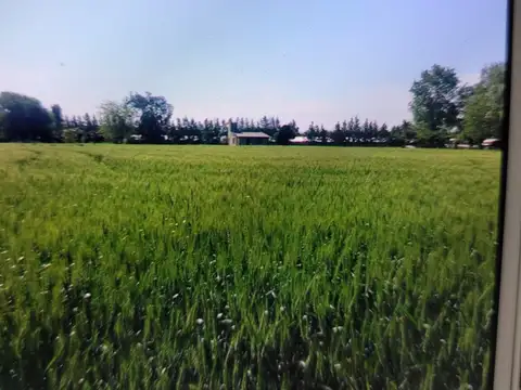 Terreno en Venta de 9420,0 m2