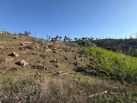 Terreno en Venta en Villa General Belgrano, USD 18.000