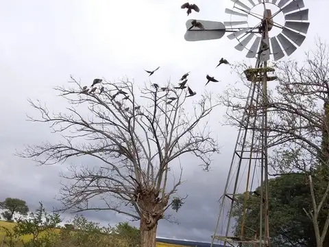 Campo en venta - 193.000Mts2 - Mina Clavero