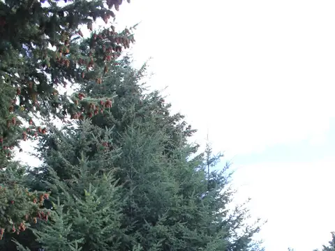 Terreno en Venta en Dina Huapi, USD 35.500