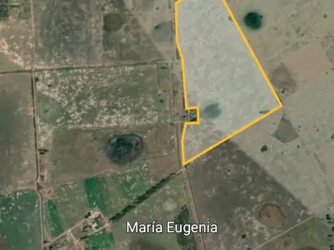 Campo en Venta de 97  ha