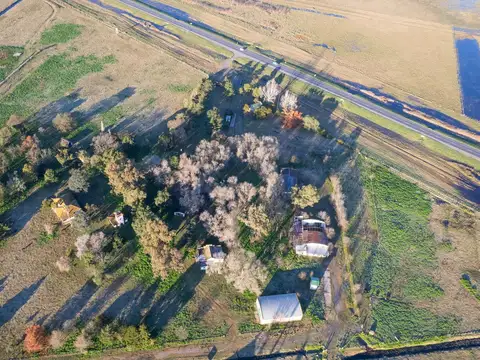 Feedlot en venta 102ha Las Flores