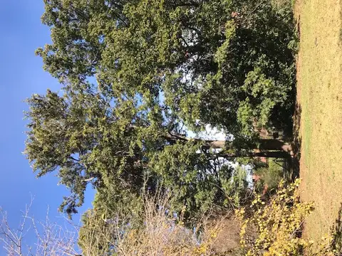 John F. Kennedy 1200