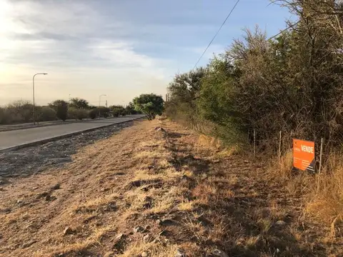 Terreno en Venta en Cortaderas, USD 80.000