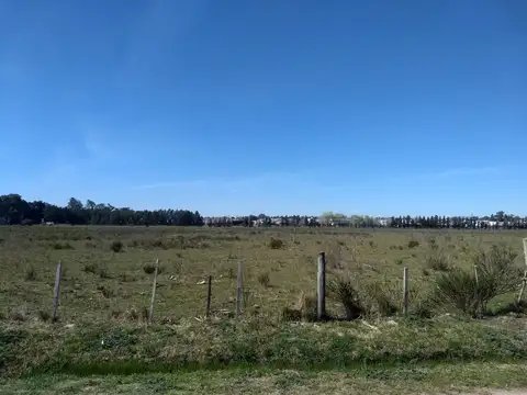 Terreno en Venta de 780,0 m2