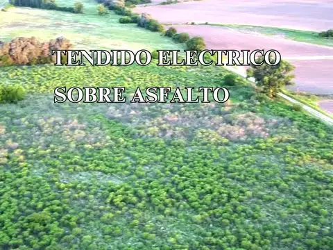 Campo en Venta con Alambrado