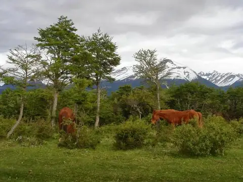 Aldea Atilio Viglione