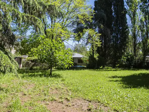 Terreno en Venta 25  mts Frente