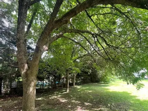 Terreno en Venta 21  mts Frente