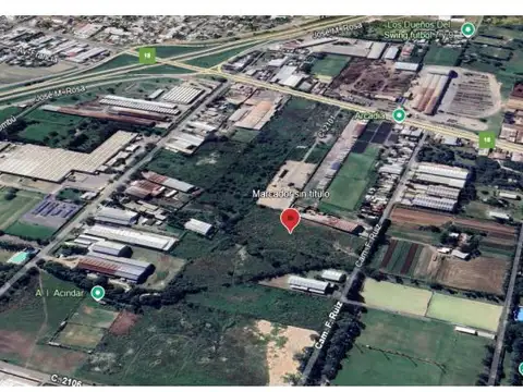 Fernando Ruiz y Ovidio Lagos