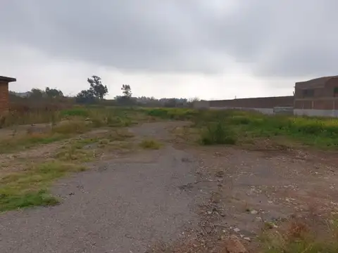 Fernando Ruiz y Ovidio Lagos