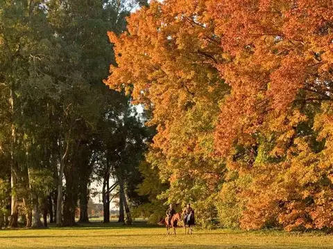 Terreno en Venta en Estancia Villa Maria, USD 240.000