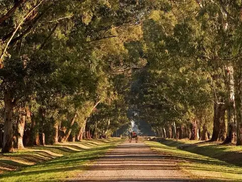 Imperdible lote de 7400 m2 en Estancia Villa María. Canning, Máximo Paz, Ezeiza.