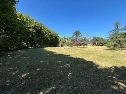 Venta Quinta en Oliveros con Casona Antigua - Salida al Río Carcarañá