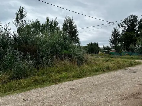 Terreno en Venta en Mar del Plata, USD 12.000