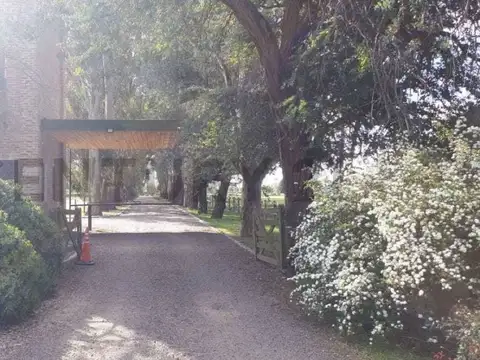 EL CAMPO- FINCAS EXCLUSIVAS CARDALES 100, Piso 0