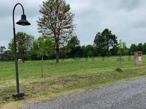 LOTE EN VENTA EN CARDALES