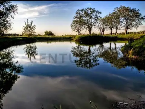 LOTE EN VENTA EN CARDALES