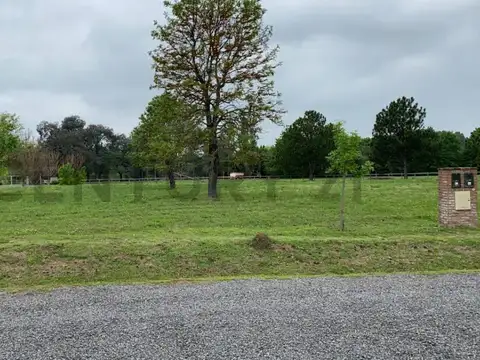 LOTE EN VENTA EN CARDALES