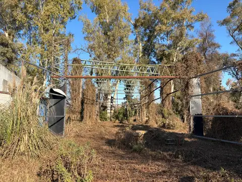 Estructura de galpón en alquiler Av. 12 de octubre