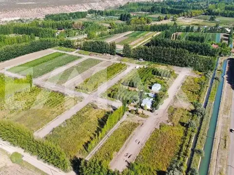 Ruta Provincial 7 100