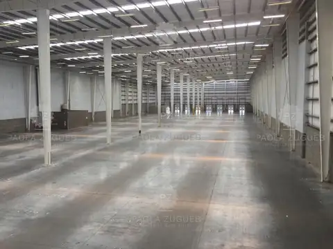 Mariano ferreira 100