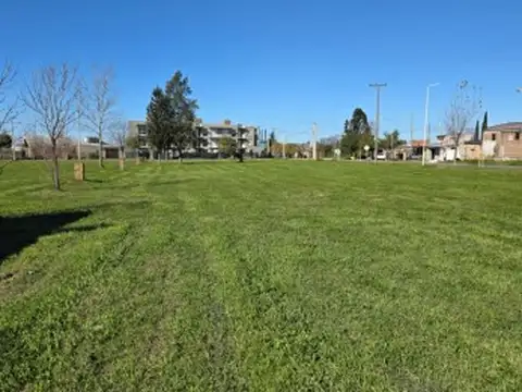 2 LOTES S/RUTA 21 - COMERCIAL O RESIDENCIAL 3.047 M2 y 931,46 M2.