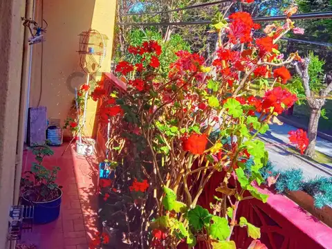 Avellaneda entre  Catamarca y La Rioja 500, Piso 1