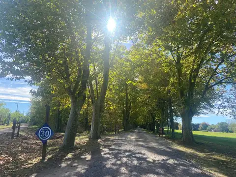 Ruta Nacional 215 s/n