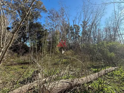 Terreno en Venta de 1503,0 m2