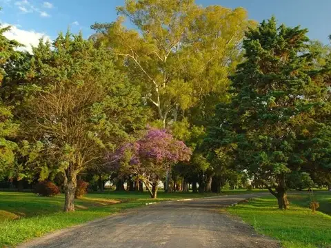 Terreno en Venta de 981,0 m2