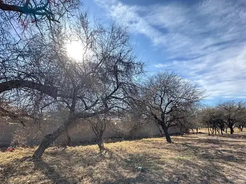 Terreno en Venta de 650,0 m2