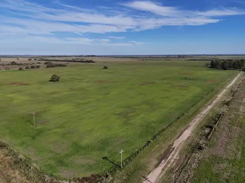 Campo en Venta de 542  ha