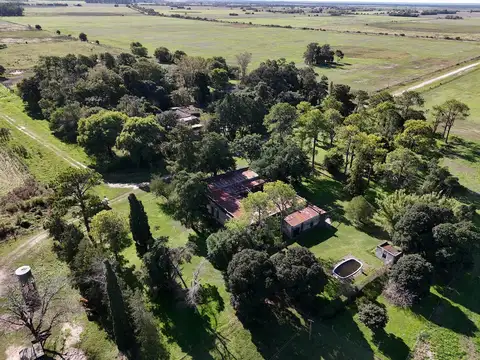 Campo en Venta de 542  ha