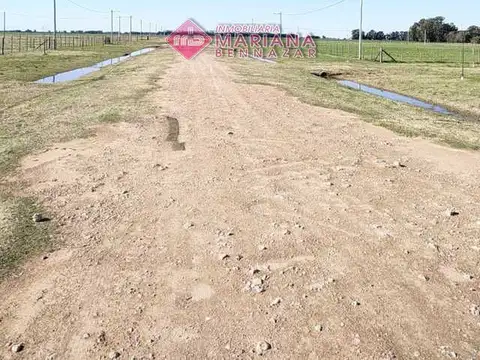 Terreno / Lote en venta de 5150m2 ubicado en Villa Alsina