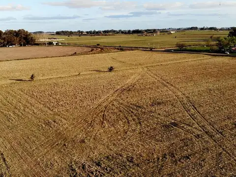 Campo venta en Las Flores. buenos aires