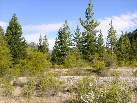 Terreno en Venta de 20000,0 m2