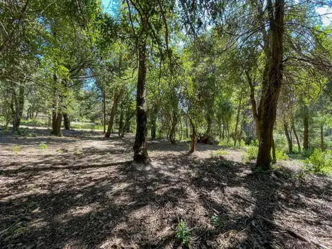 Osa Mayor 500, Piso 0