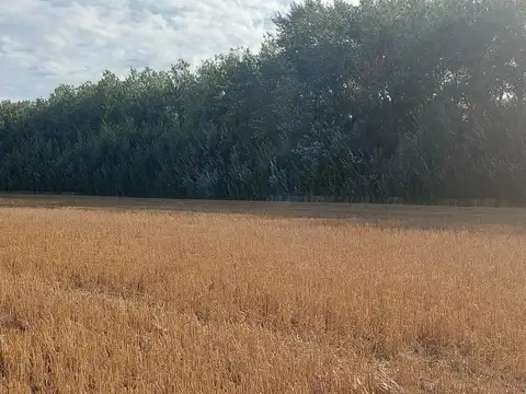 Cuartel VIII Mercedes (Bs As)