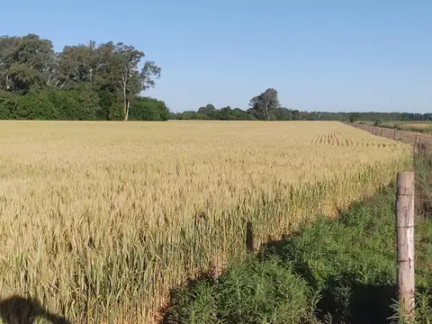 Cuartel VIII Mercedes (Bs As)