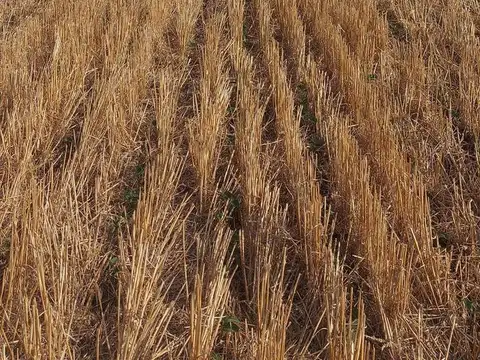 Venta de campo en la zona de Mercedes- San Andrés de Giles próximo a Autopista Ruta 7