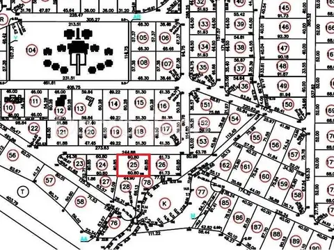 Country Carmelo - Uruguay 100