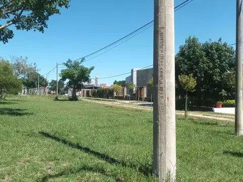 LAS PERDICES Y FRESNOS