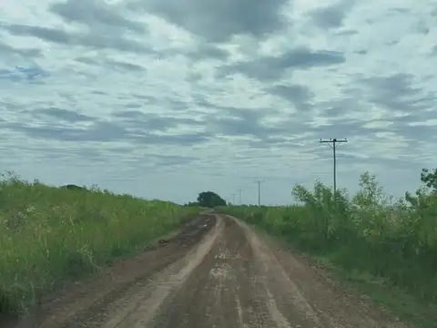 Pavón cerca de Ruta y puente Arroyo