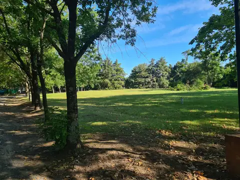 Bv. Doctor Domingo Cabred 1500