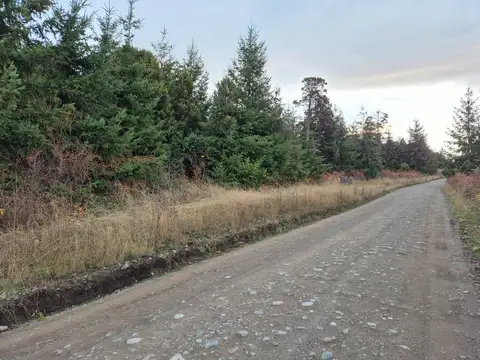 Terreno en Venta en Trevelin, USD 75.000
