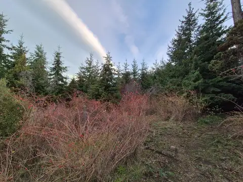 Hectárea en Trevelin con bosque