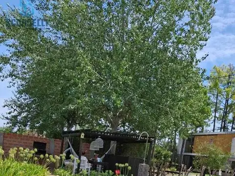 Segundo Sombras  al 3100