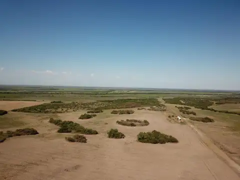 CAMPO MIXTO EN ENTRE RIOS, 2000 Has