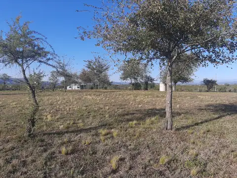 Terreno en Venta de 1322,0 m2